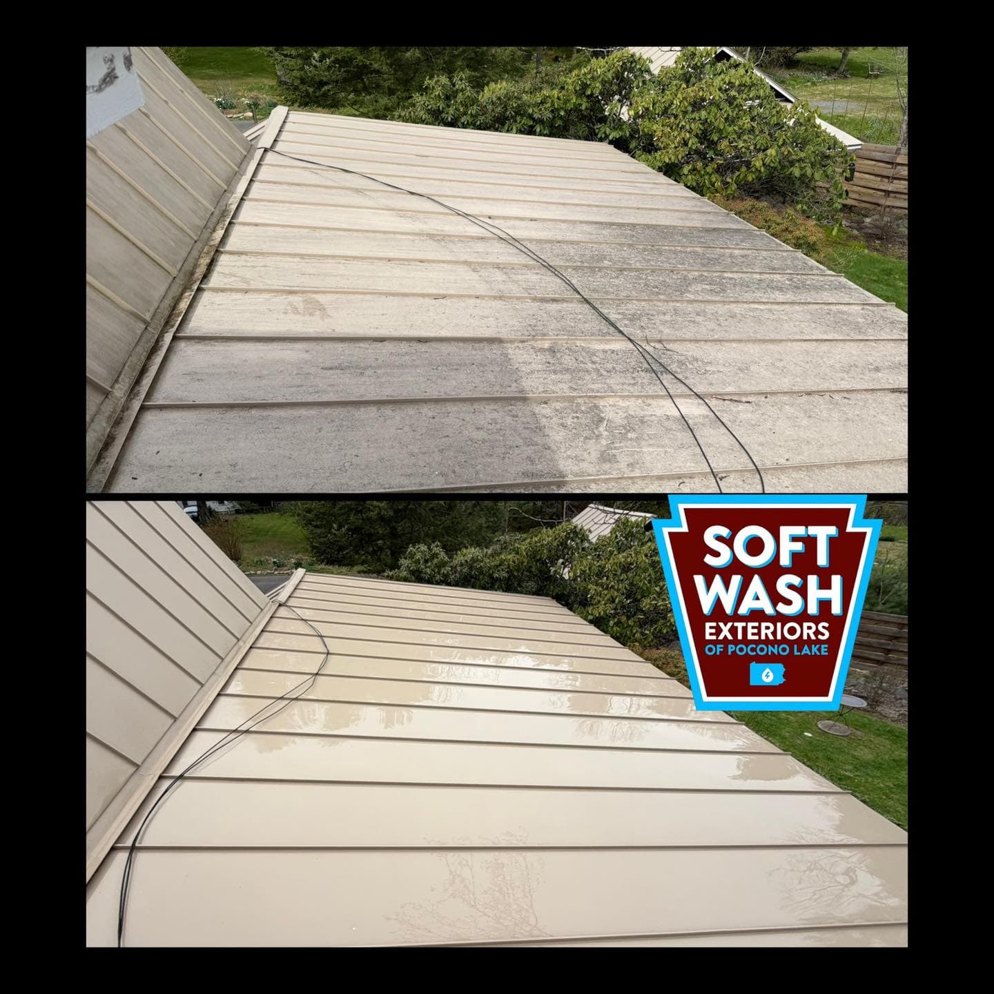 House side wall soft wash — algae and chimney staining