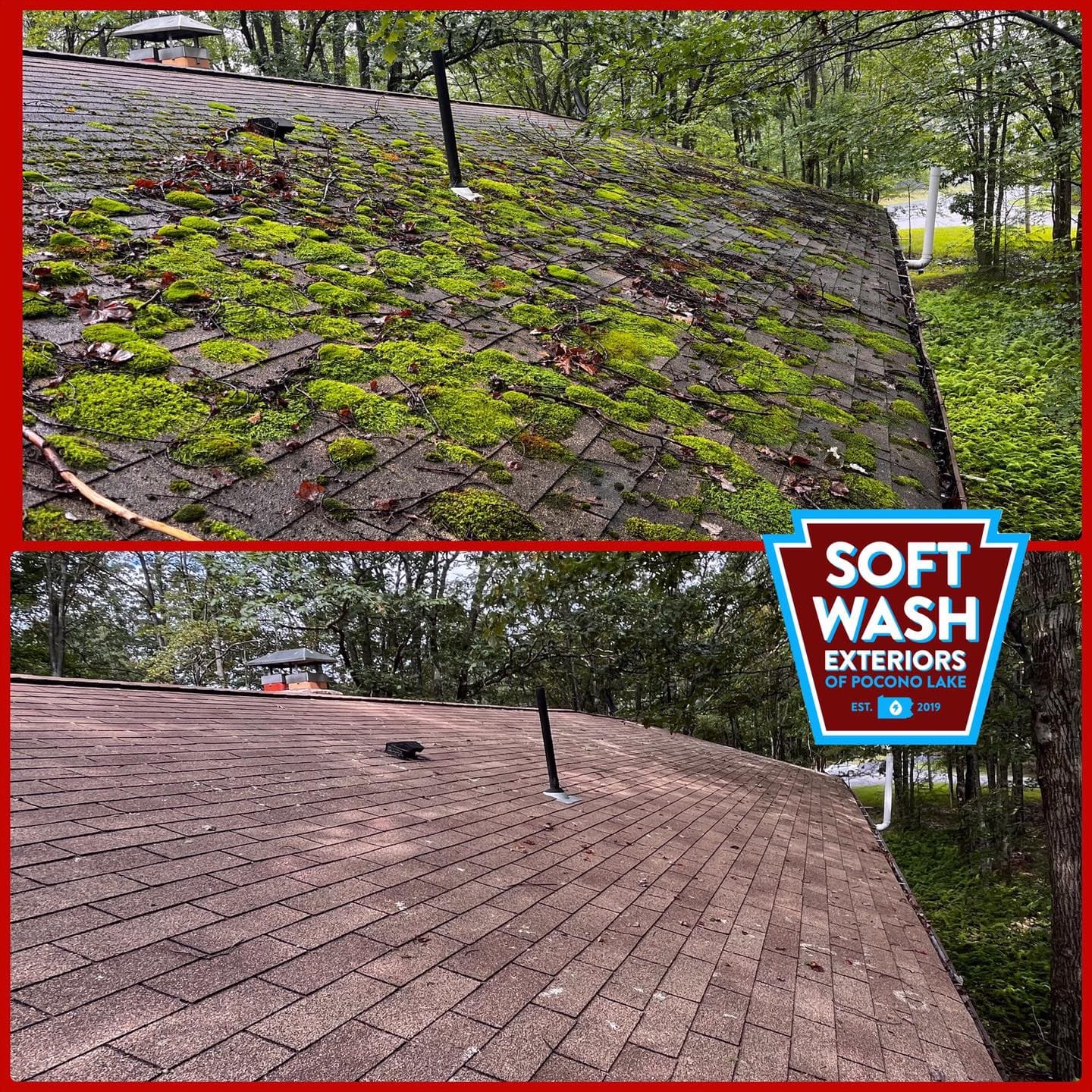 Roof moss before/after — dramatic green to clean